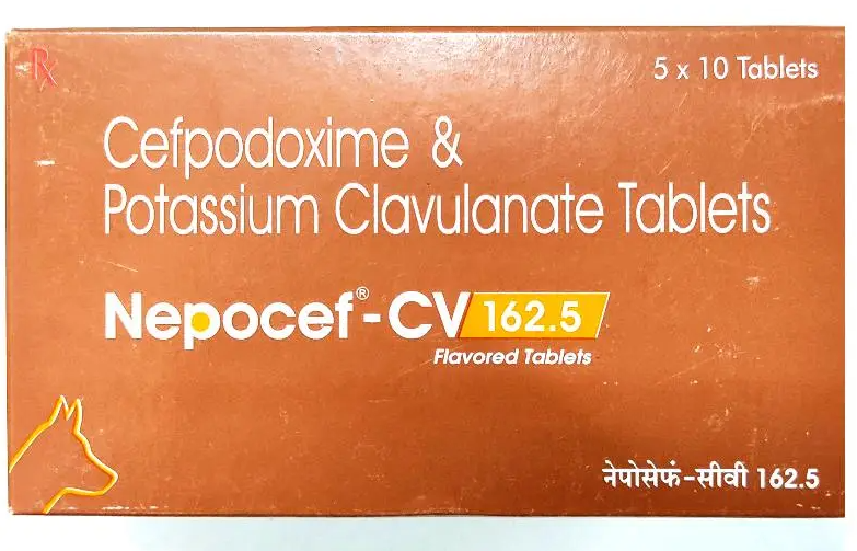 NEPOCEF-CV 162.5 TAB 10 TAB