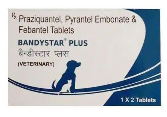 BANDYSTAR PLUS TAB 2 TAB