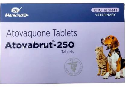 ATOVABRUT-250 1*10TABS