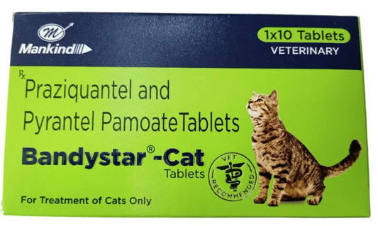 BANDYSTAR-CAT 10 TAB TAB