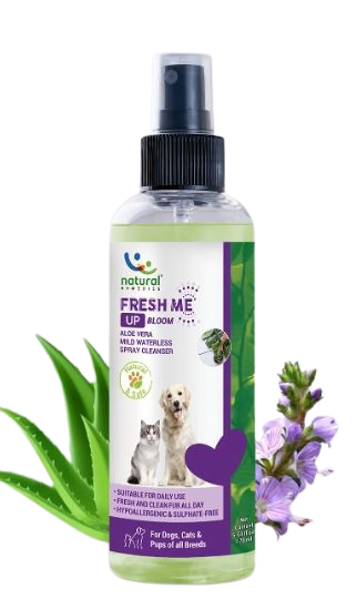 FRESH ME UP BLOOM (ALOEVERA) 170ML