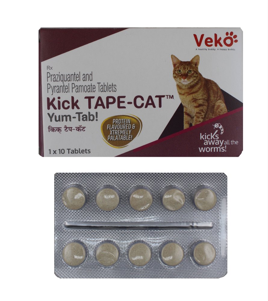 KICK TAPE CAT TAB 10 TAB