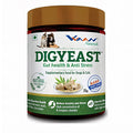 DIGYEAST POWDER 70GM