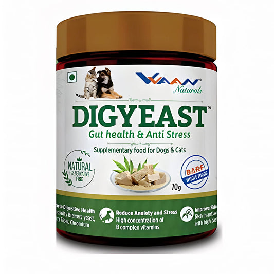 DIGYEAST POWDER 70GM