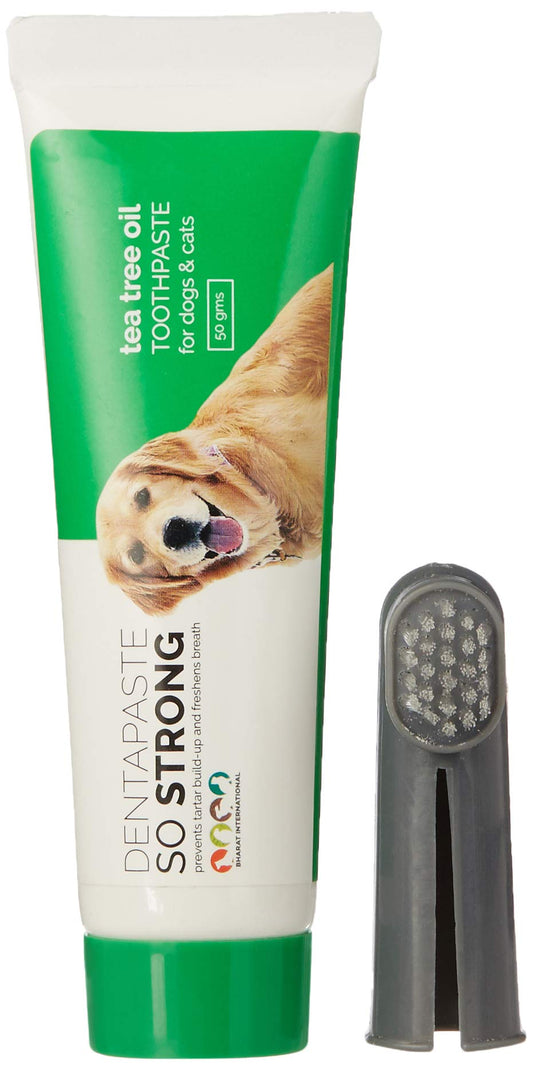 DENTA PASTE WITH BRUSH