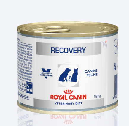 Royal Canin Veterinary Diet Recovery Can