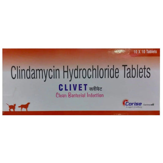 CLIVET 600MG TAB 10 TAB