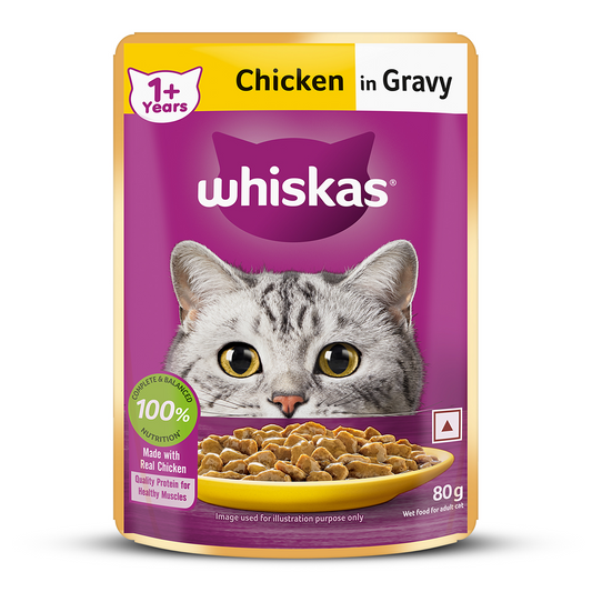 Whiskas Adult Chicken Gravy India