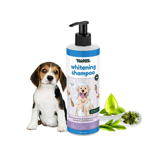 Pawpaya Whitening Shampoo 250Ml