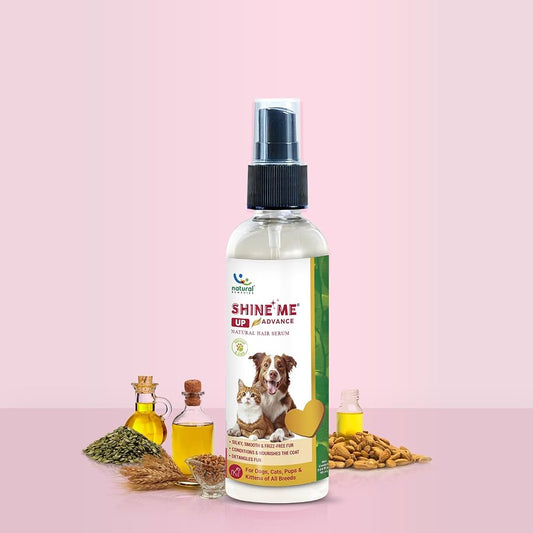 Shine Me Up Advance 90Ml