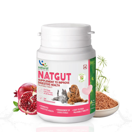 Natgut Tablet 9`S