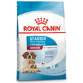 Royal Canin Medium Starter