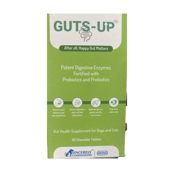 GUTS-UP CHEW TAB TAB