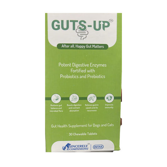 GUTS-UP CHEW TAB TAB