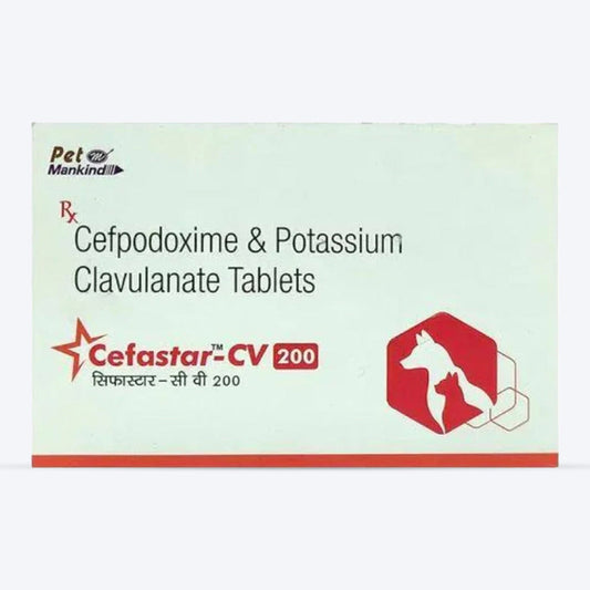 CEFASTAR CV 100MG TAB 10 TAB
