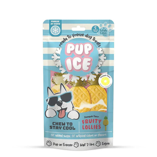 PUP ICE FRUITY PINEAPPLES 90GM