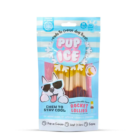 Pup Ice Banana & Chocolate 90Gm