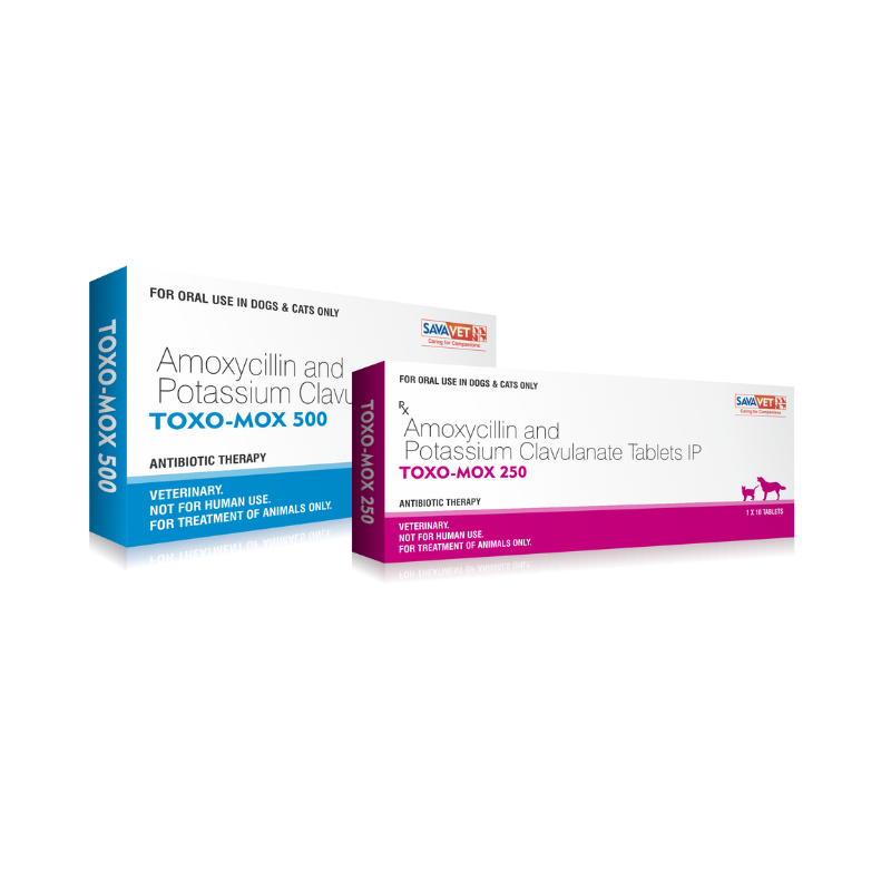 TOXO MOX 500MG 10 TAB