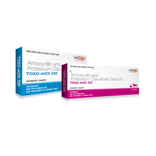 TOXO MOX 500MG 10 TAB