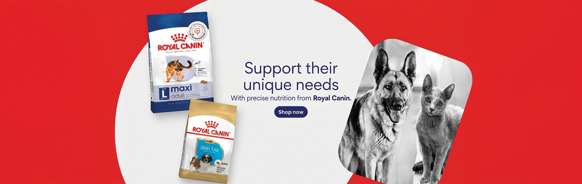 Royal Canin Dog Food with Best Discounts