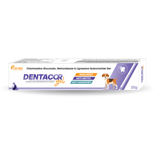 DENTACOR GEL 20GM