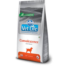 Vetlife Dog Convalescence