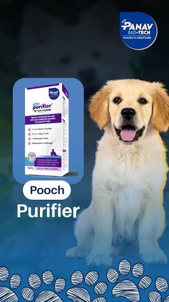 Pooch Purifier Ear Cleanser