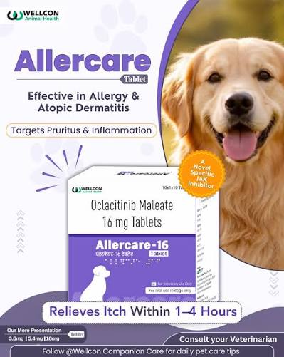 Allercare 16Mg Tab