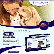 Pooch Liv-Guard 300Mg Tab 10 Tab