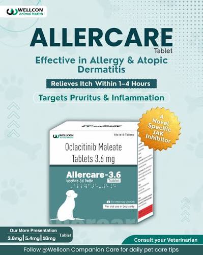 Allercare 3.6Mg Tab