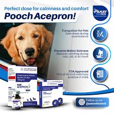 Pooch Acepron Inj 10Ml
