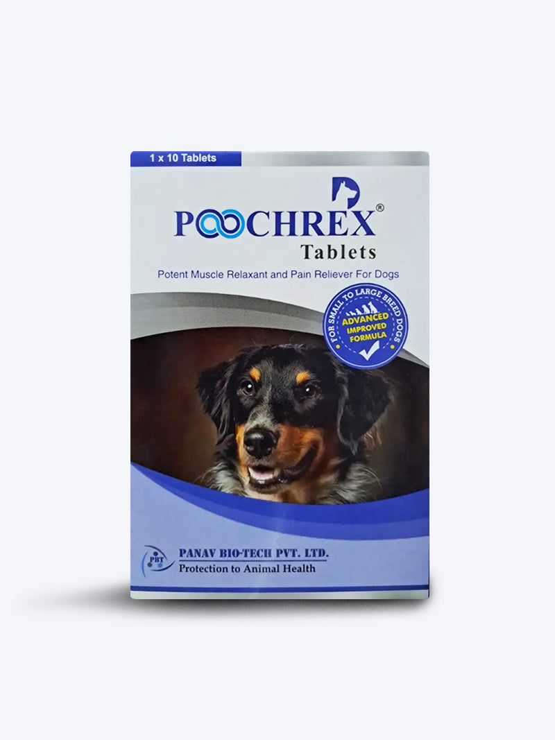 Pooch Rex Tab 10 Tab