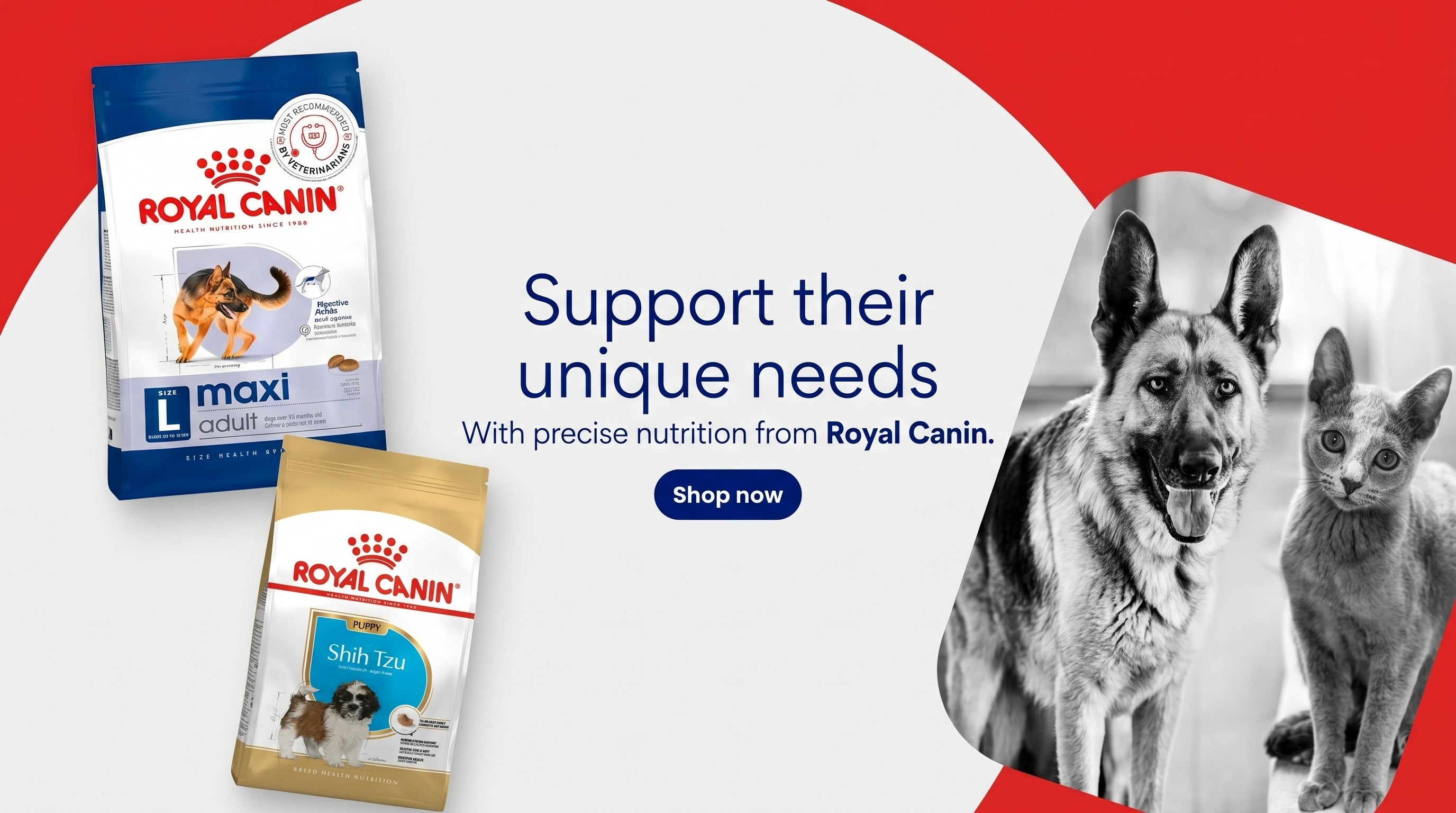 Royal Canin Dog Food with Best Discounts