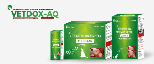 VETDOX-AQ ORAL SUSP 60ML