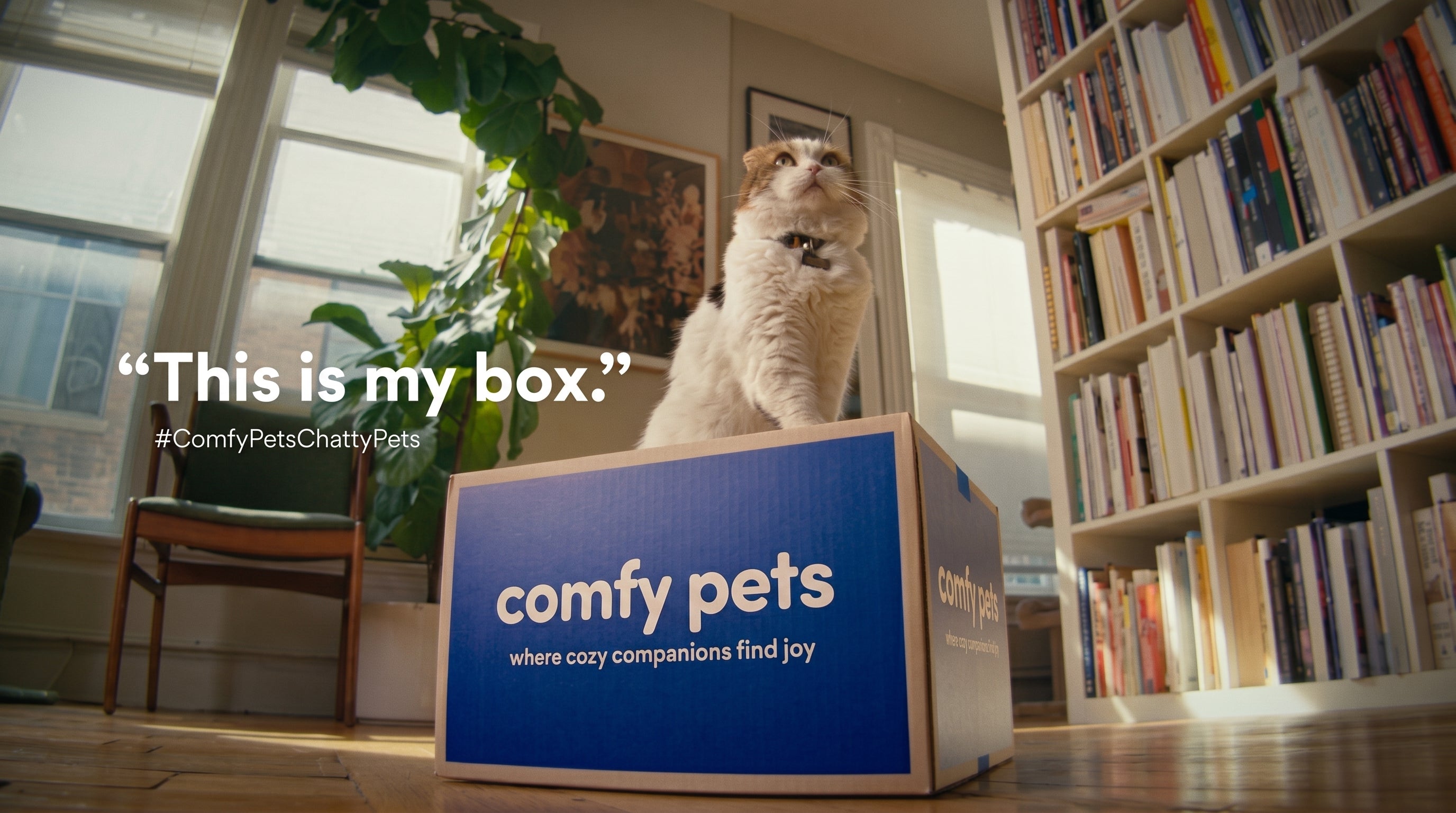 Home Delivery Pet Products