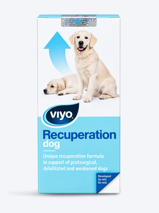 Viyo Recuperation Dog 150Ml